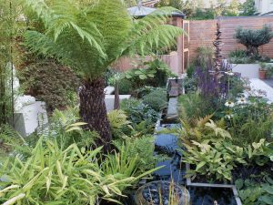 water features surrounded by jungle of plants