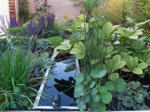rectangle water feature