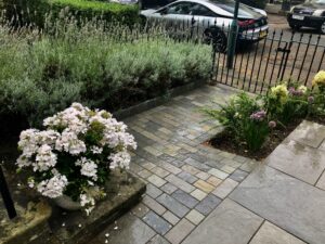 plants surrounded by flooring