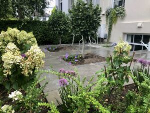 Garden Border Planting