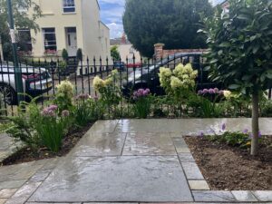 front garden plants with fence