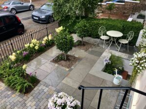 front garden plants and trees
