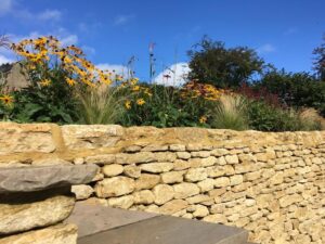 plants on top of a stone wall