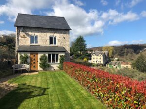 back garden with hedges